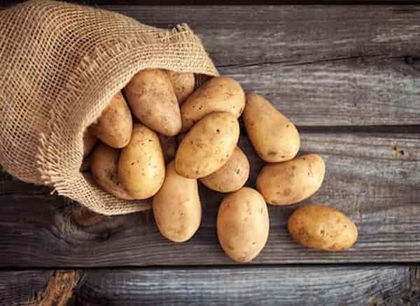 تصویر 5 از قیمت خرید سیب زمینی جیرفت + فروش ویژه